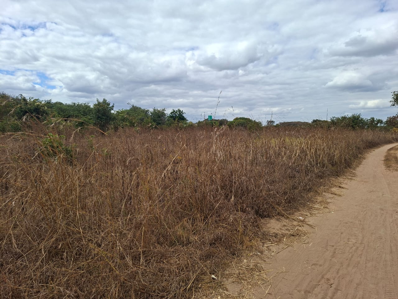 FOR SALE: CHAMINUKA