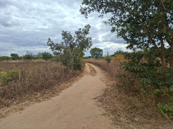 FOR SALE: CHAMINUKA