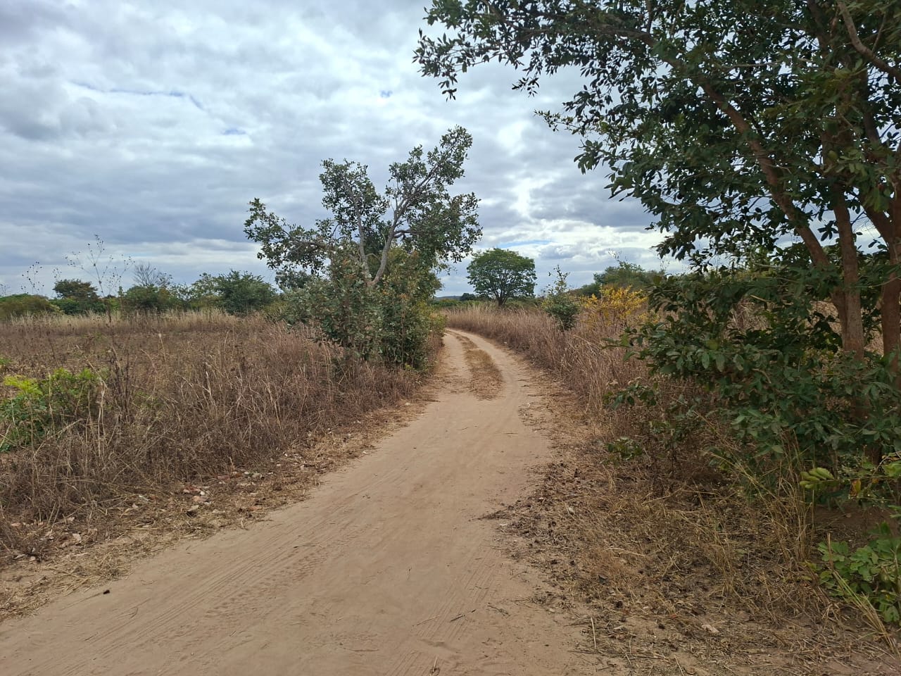FOR SALE: CHAMINUKA