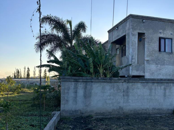 FOR SALE: KABANGWE