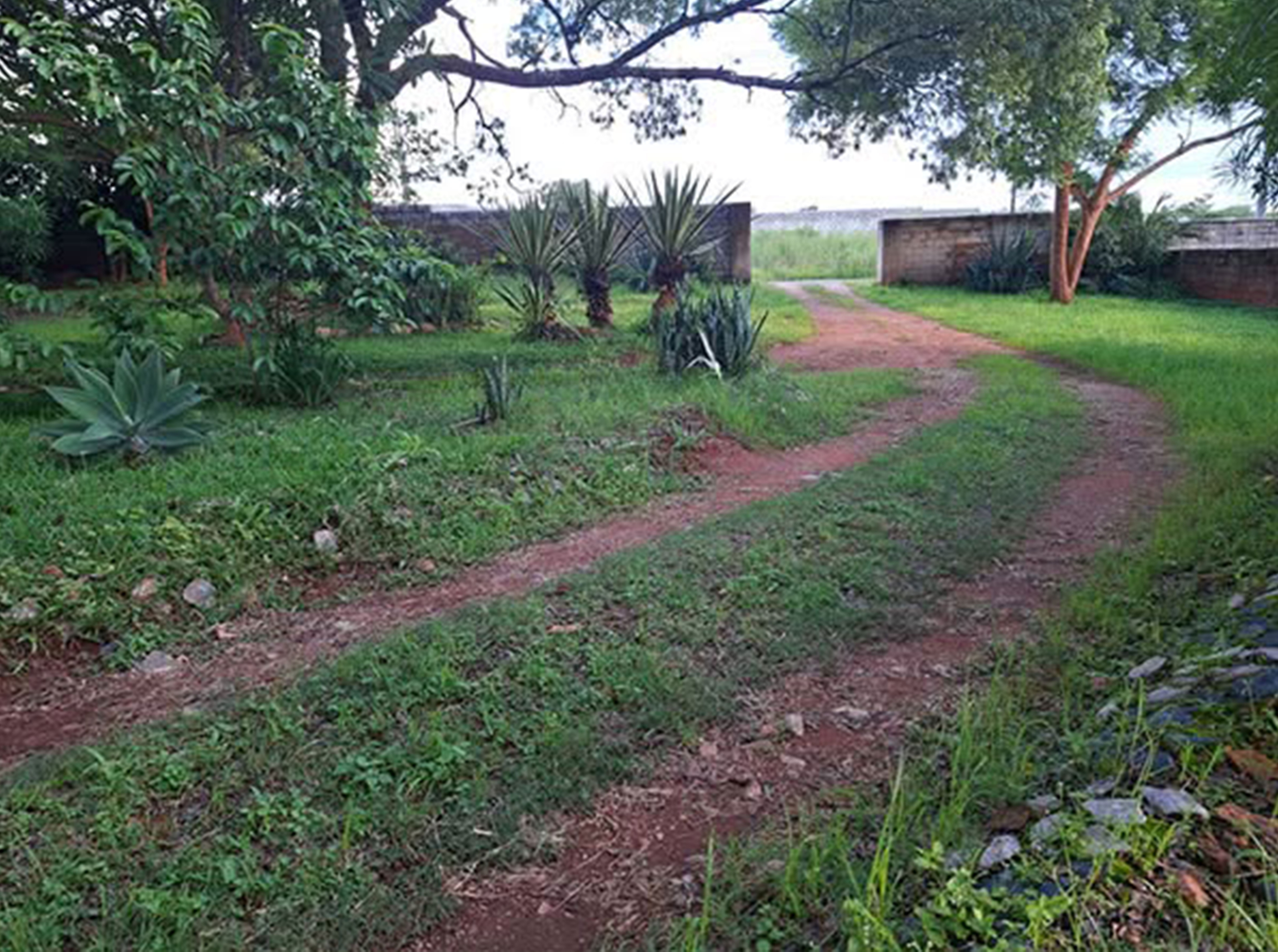 FOR RENT: IBEX HILL