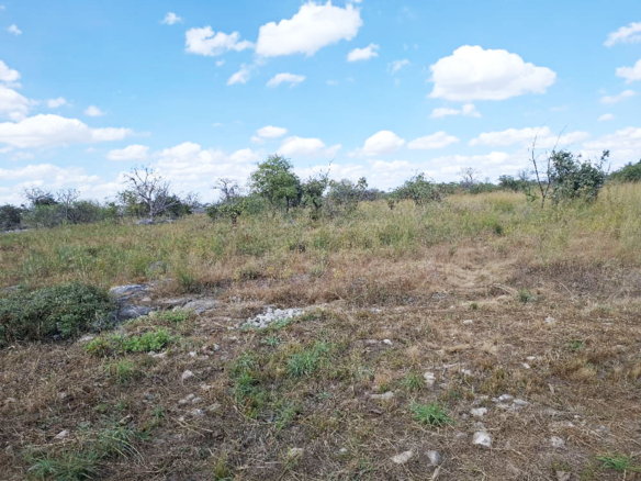 FOR SALE: CHILANGA (MAPEPE)