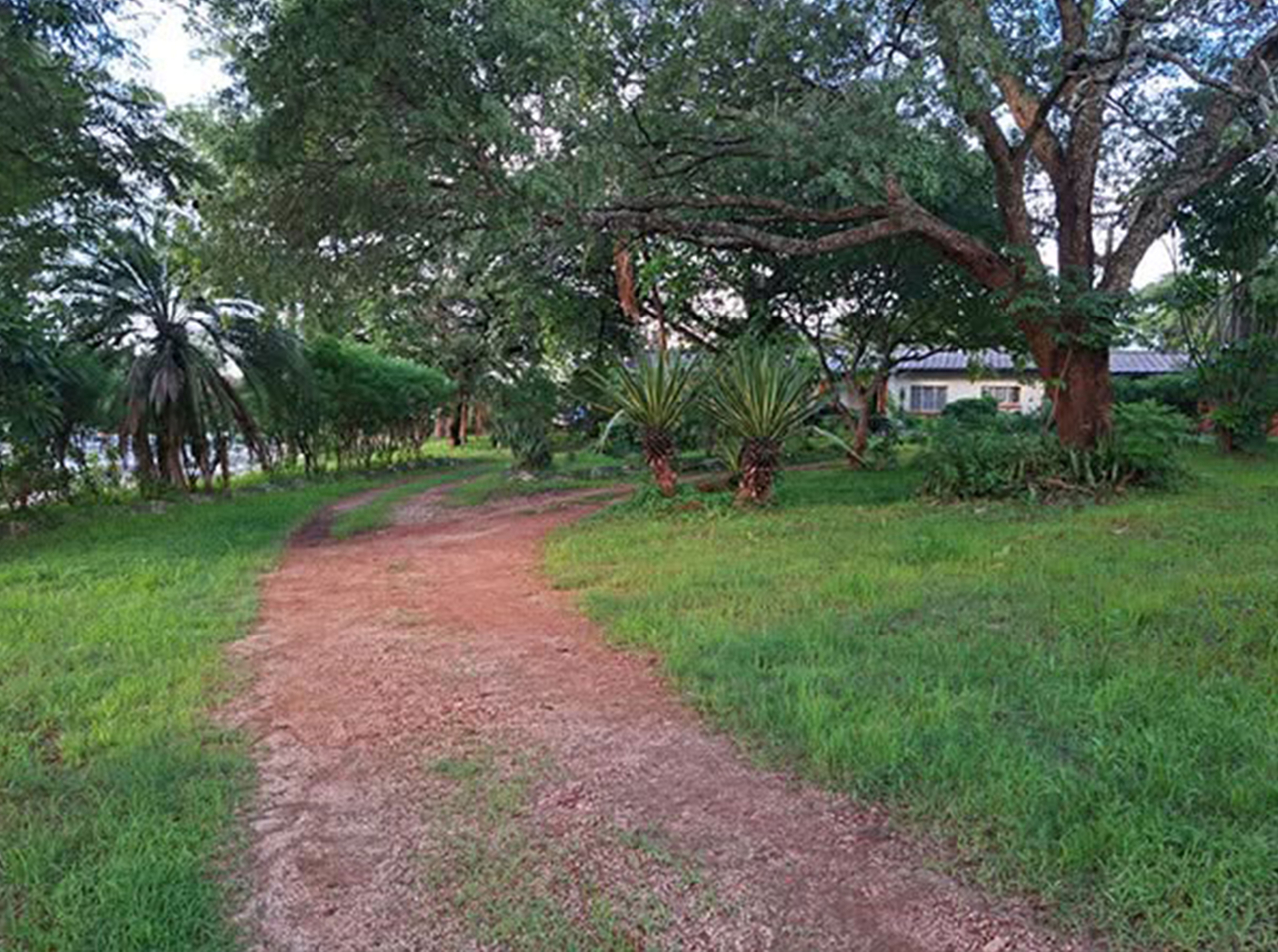 FOR RENT: IBEX HILL