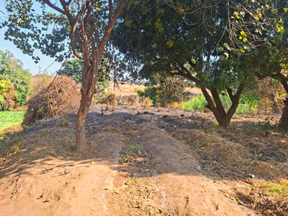FOR SALE: BARLASTONE