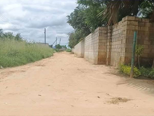 FOR SALE: CHONGWE