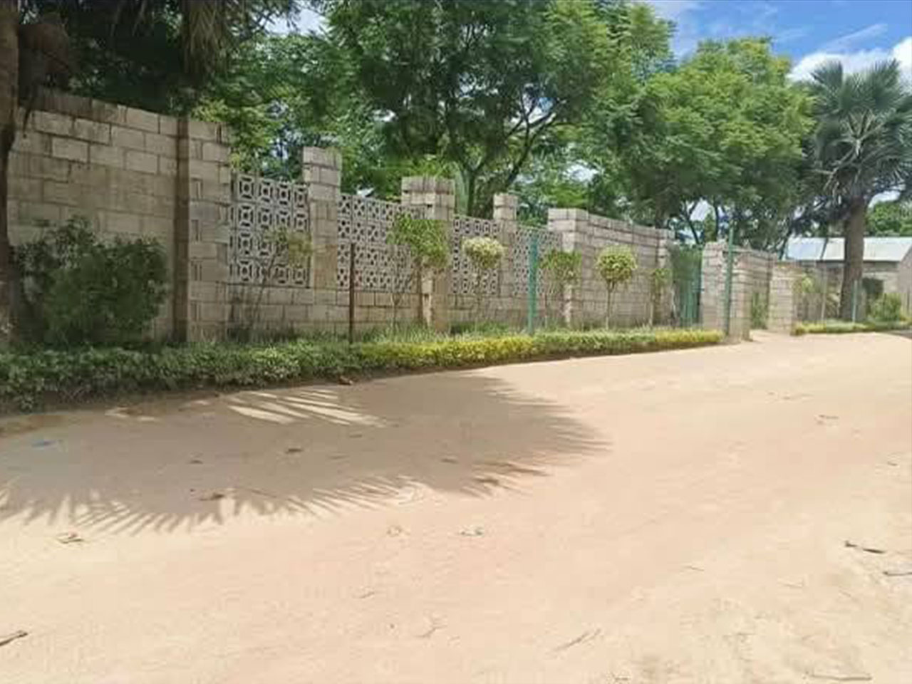 FOR SALE: CHONGWE