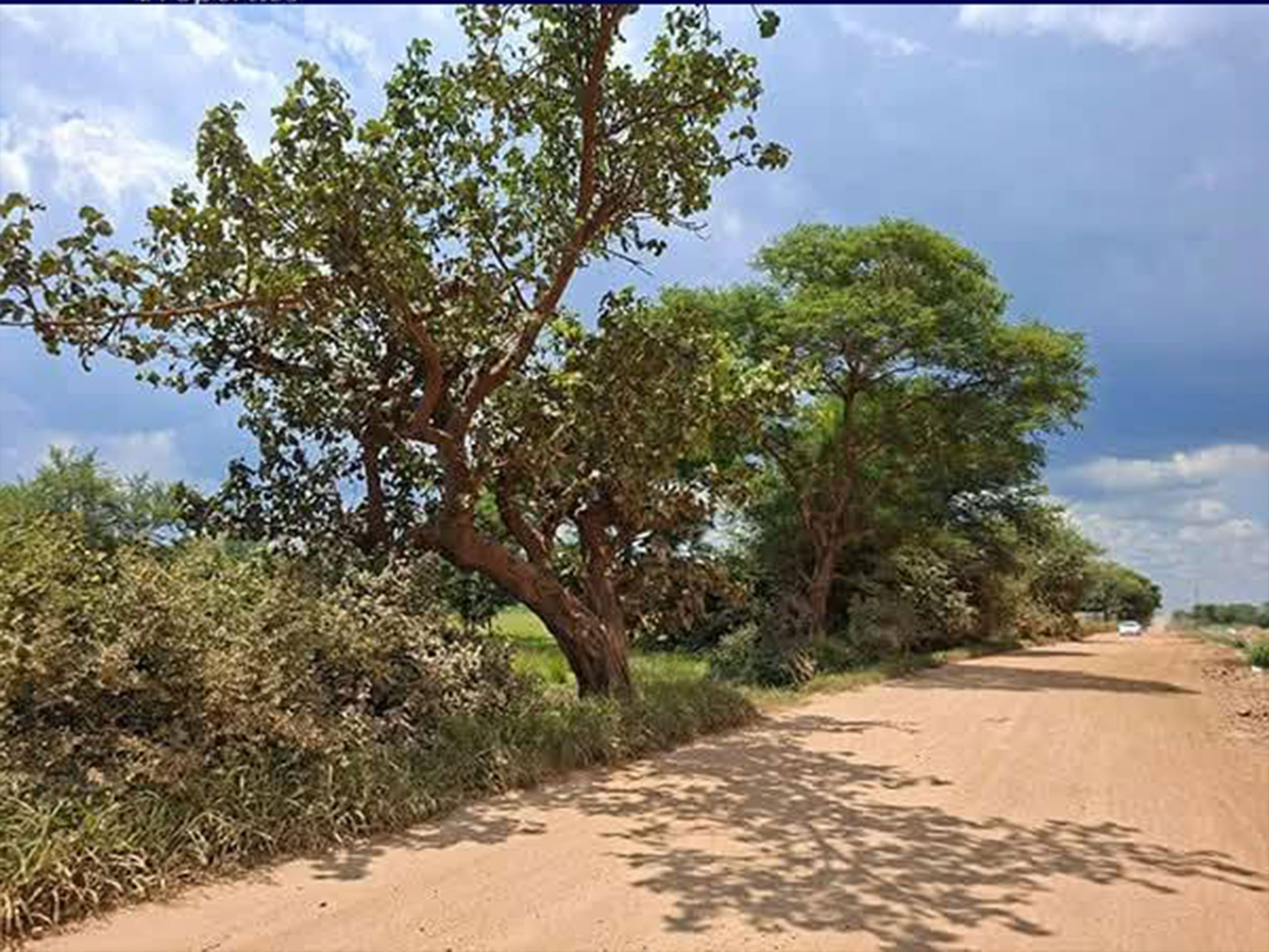 FOR SALE: LUSAKA WEST (KALUNDU)