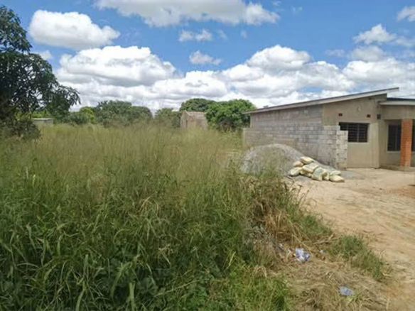 FOR SALE: CHONGWE