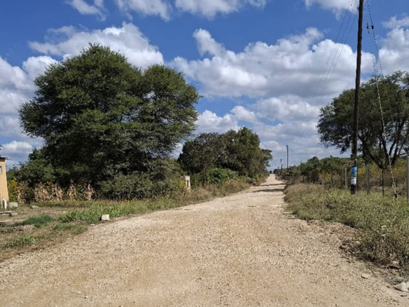 FOR SALE: CHILANGA (MAPEPE)