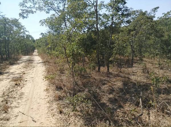 FOR SALE: CHIFWEMA