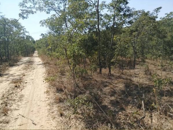 FOR SALE: CHIFWEMA