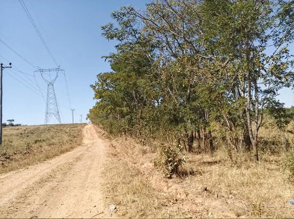 FOR SALE: CHIFWEMA
