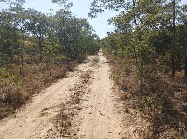FOR SALE: CHIFWEMA