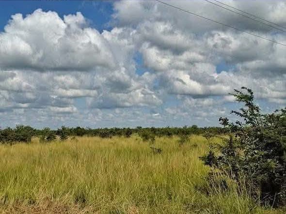 FOR SALE: CHISAMBA