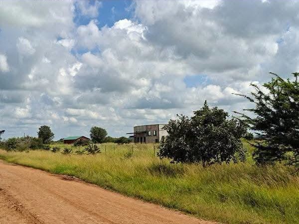 819219365_880141238398061_2653073331792750144_n FOR SALE: CHISAMBA