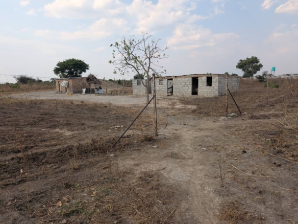 FOR SALE: SITUMBEKO