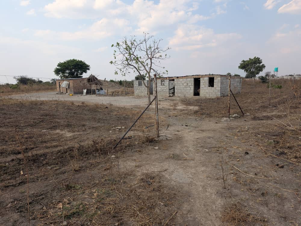 FOR SALE: SITUMBEKO