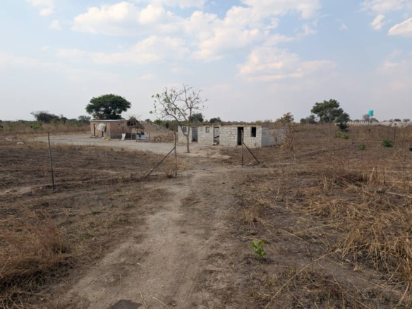 FOR SALE: SITUMBEKO
