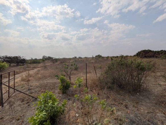 FOR SALE: SITUMBEKO